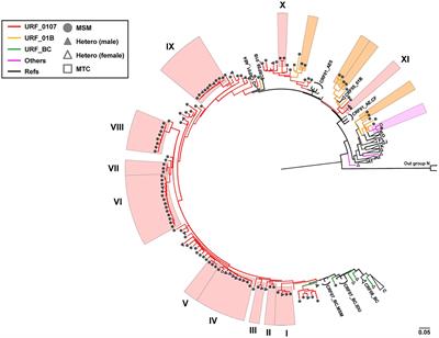 Multiple CRF01_AE/CRF07_BC Recombinants Enhanced the HIV-1 Epidemic Complexity Among MSM in Shenyang City, Northeast China